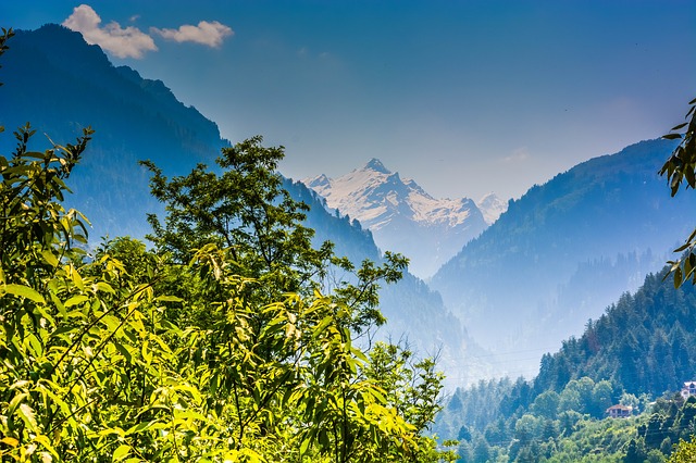 Himaláje-v popředí zelený les, v pozadí zasněžené vrcholky hor