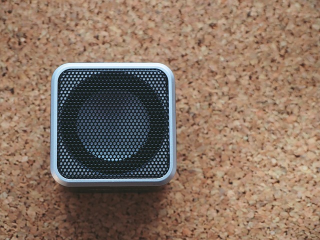 bluetooth reproduktor